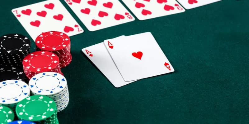 Tìm hiểu tổng quan về catte trên hệ thống rikvip